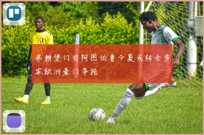弗赖堡门将阿图伯鲁今夏或转会多家欧洲豪门争抢