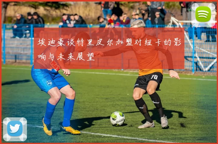 埃迪豪谈特里皮尔加盟对纽卡的影响与未来展望
