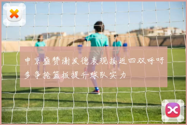 申京盛赞谢泼德表现接近四双呼吁多争抢篮板提升球队实力